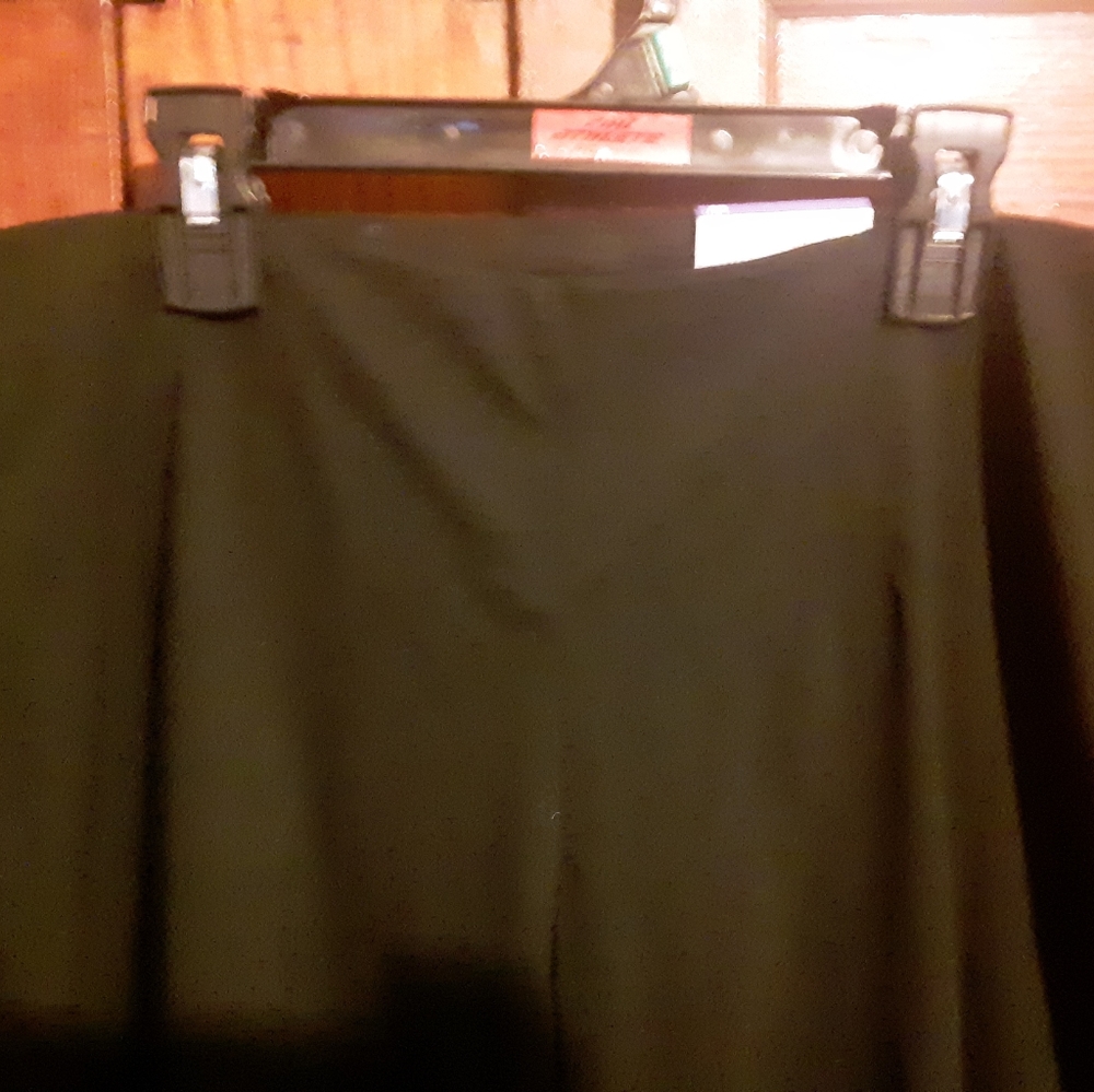 Dress pants